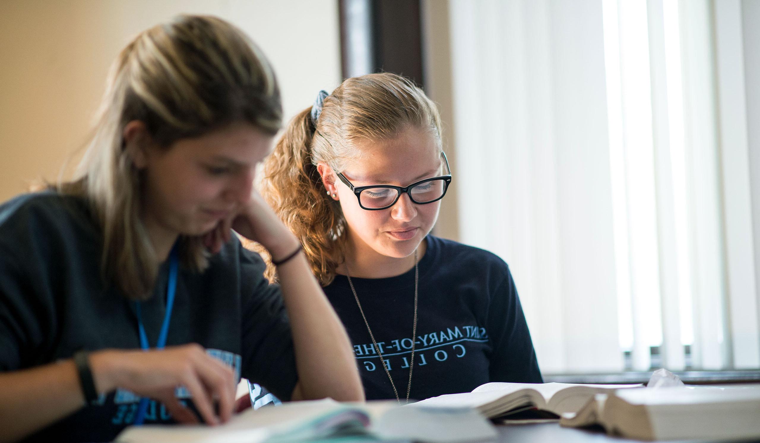 Two students studying